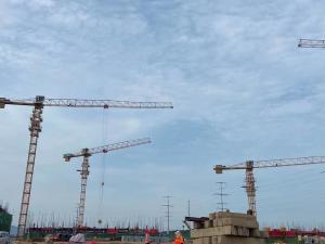 China ISO9001 Certified 50T Zoomlion Flat Top Tower Crane Wa7025-10e with Max Jib Length 70m factory