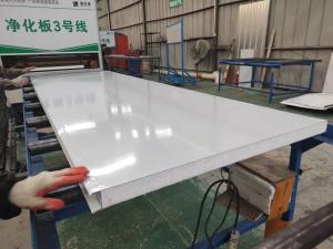 China Good Insulation EPS Expandable Polystyrene Foam Sandwich Panel EPS Sandwich Panel Manufacturer factory