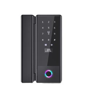 China Biometric Smart Sliding Glass Door Lock G10S Advanced Intelligent Door Lock factory
