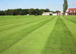 AVG Anti UV 9500D High Density Sports Synthetic Lawn Artificial Turf