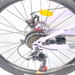 Wholesale 21 Speed Customized Cheap Adult Mountain Bike 24/27.5 Inch Bicycle