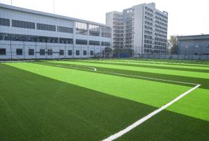 China China Stem Shape Artificial Football Pitches With 16.5 Stitches For Efficient Drainage System factory