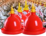 Broiler Animal Automatic 2kg Poultry Feeder Drinker For Husbandry Equipment