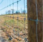 farm fence livestock sheep wire mesh fence cattle wire fence metal farm fence