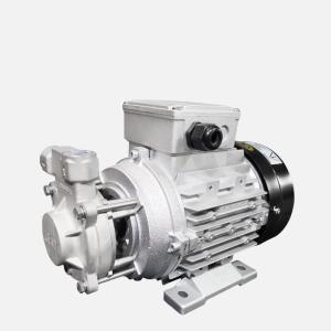 China 150 PSI Maximum Pressure Magnetic Sealless Centrifugal Pump For Temperature Applications factory