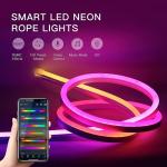 5m RGB LED Neon Strip WS2811 Neon Flex RGB 24V IP67 Outdoor