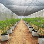 Hot Galvanized Steel Structure Greenhouse Kits with Plastic Film and Shade Net