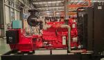 300KW 375kva Natural Gas Powered Cummins Brown Gas Generator with Water Cooled