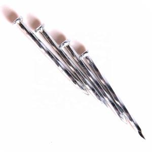 China Customized Small Electro Galvanized Nails Steel Concrete Nail factory