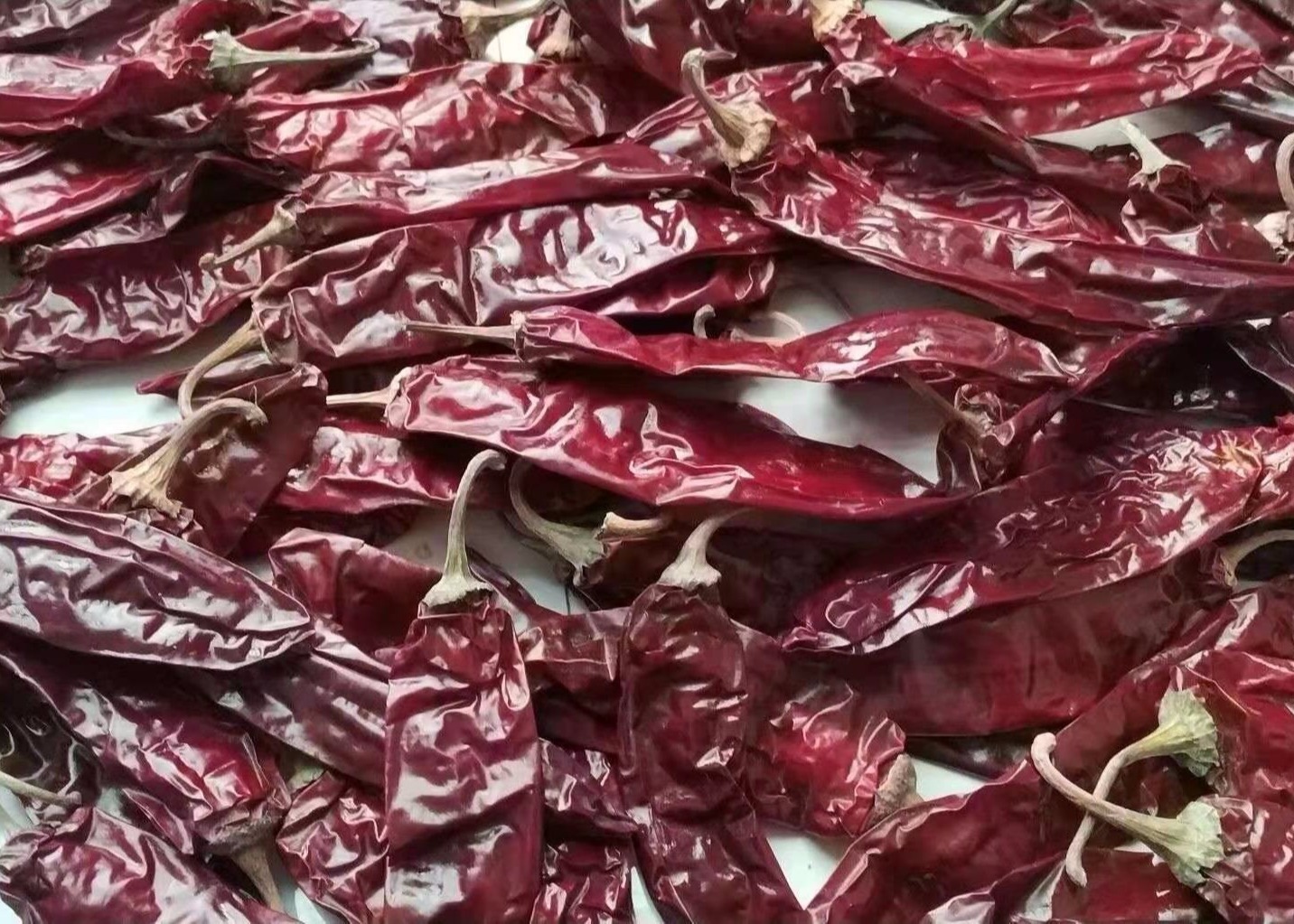 High In Vitamin A And C Dried Paprika Peppers Sweet Pepper Taste Spice And Seasoning Powder