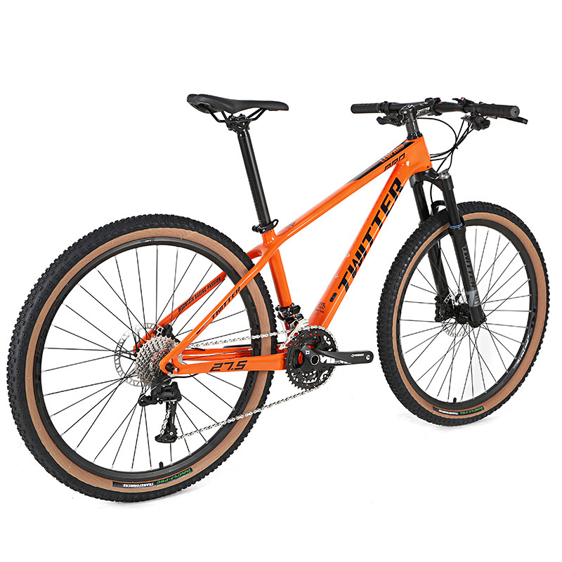 OEM 30 Speed 29er Carbon Fiber Mountain Bike For Men And Women
