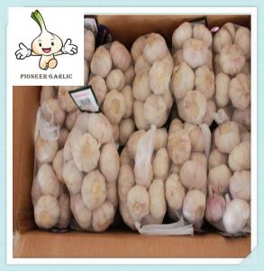 China fresh garlic Good Price Chinese Purple Garlic 5.5CM Purple Skin Garlic factory