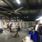 Industrial Exhaust Fan 5.0m 16FT Ceiling Fan for Warehouse Air Cooling and