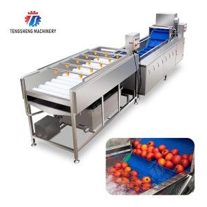 China Vegetable and fruit brush and washing production line Fruit Vegetable FOOD processing production Machine factory