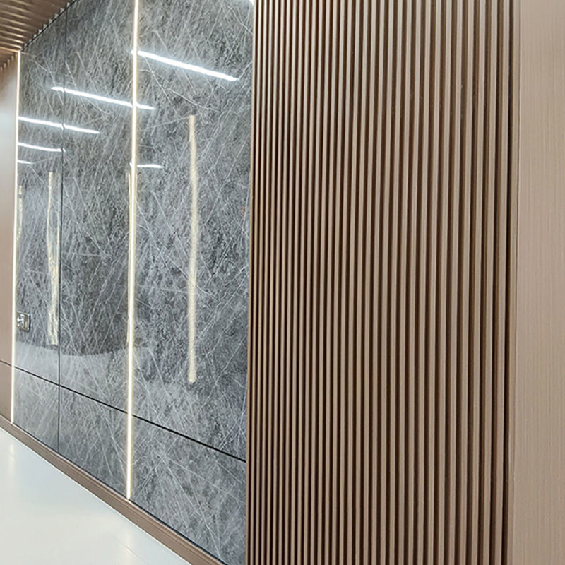 Colorful WPC Wall Panel Wall Decorations Interior Easy Installation Anti-scratch WPC Wall Cladding