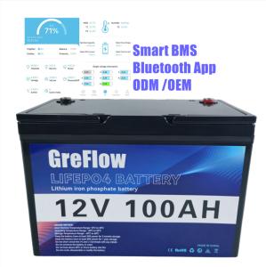 China OEM ODM Plastic Case 12 Volt LiFePo4 Battery 12v 200ah Smart BMS long Life factory