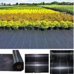 Recyclable Black Plastic Ground Cover , PP Woven Fabric Roll For Agriculture /