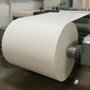 China Paper Cup Fan PE Coated Raw Material Paper Roll Food Grade Waterproof Paper Roll Disposable Single or Double Side Whit on sale