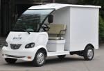 Mini Dimensions Electric Cargo Truck with Stainless Steel Cargo Box 500kg