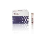 Immunoassay-grade magnetic polymer Beads, 1μm size 5mL