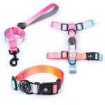 Gradient Waterproof Harness Collar Leash Set Blue Pink Purple Puppy Collar And