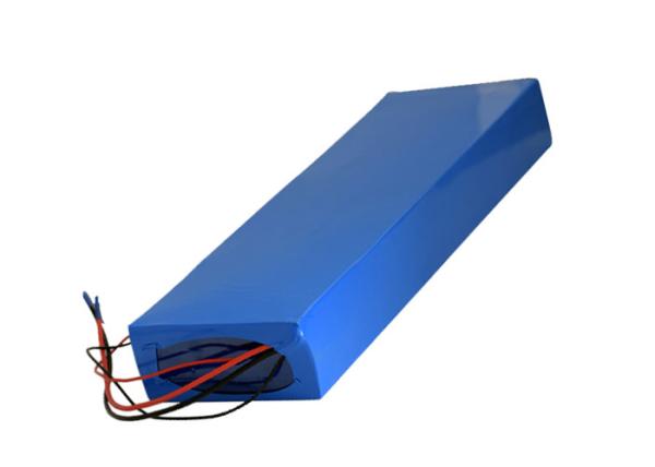 Rechargeable 48V 10AH LIFEPO4 Battery Deep Cycle Li Ion Battery Pack Energy