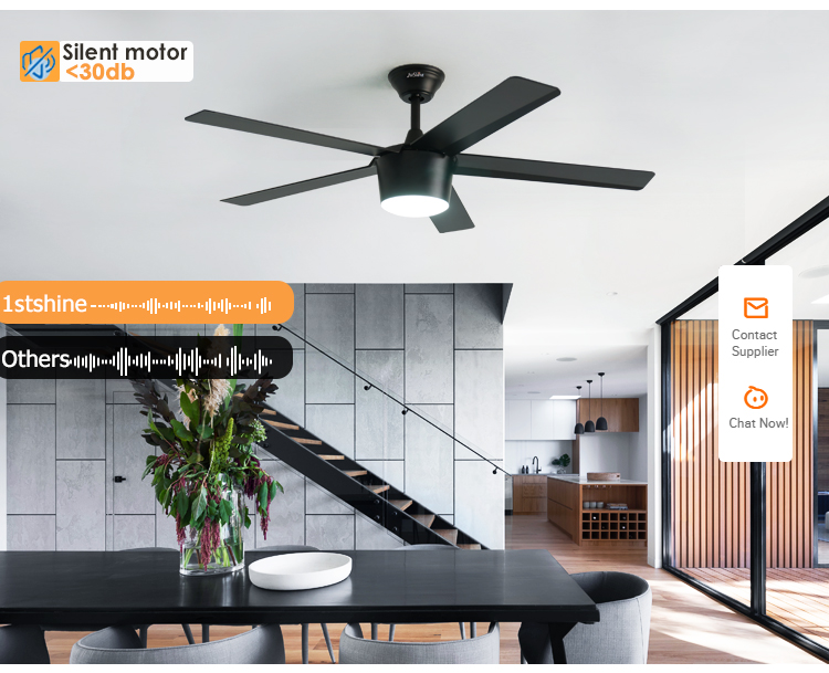 1stshine Decorative Ceiling Fan with Light 6 Speed Remote Control and 10-Year Motor