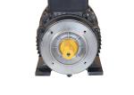 220v 2Hp IP54 Single Phase Asynchronous Induction Motor
