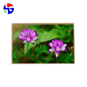 China 10.1 Inch LVDS Interface 40 Pin TFT LCD Display 1280x800 factory