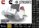 Excavator Parts Diesel Engine Fuel Injection Pump ISM QSM Fuel Pump 3417675