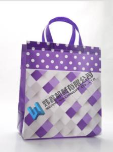 China High Quality Custom Printing Recyclable Laminated PP Non Woven Bag factory