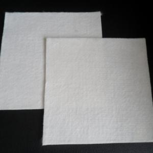 China Polypropylene Nonwoven Fabric for Earthwork Products Hotel Industry Standard Material factory