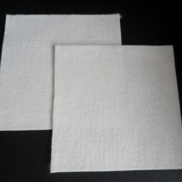 Polypropylene Nonwoven Fabric for Earthwork Products Hotel Industry Standard