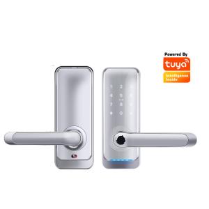 China Home Biometric Fingerprint Electronic Door Lock For BLE App Digital Code Card factory