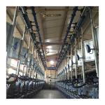 Working Vacuum 50KPa 2.2kw Herringbone Milking Machine For Dairy Farm