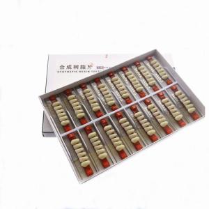 China High Durability Acrylic Resin Composite Dental Teeth factory