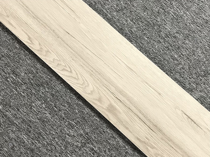 Modern Porcelain Tile Flooring Wood Look Full Body Garden