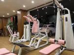Vertical Calf Quads Hack Squat Machine Gym Commercial Plate Loaded