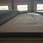 Hot Rolled Wear Resistant 5mm NM500 Carbon Steel Plates