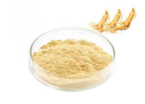 China Natural Ginseng Extract Powder factory