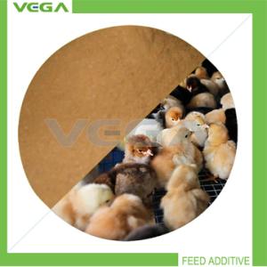 China High Qualtiy Product Kitasamycin10%/50% Made in China factory