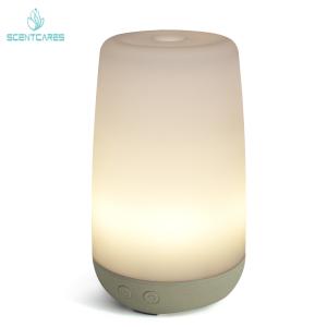 China Moisturizing Spray 12W 100ML Essential Oil Diffuser With Led Light factory