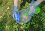 1.9g Latex Free TPE Disposable Gloves For Cleaning