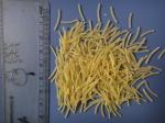 Automatic Macaroni Pasta Making Machines Manufacture Production Line Industrial