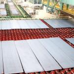 Astm A1008 Cold Rolled Steel Coil
