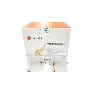 China Magnetic Bead Automated Rna Extraction Kit Viral Nucleic Acid Kit 1.1mL factory