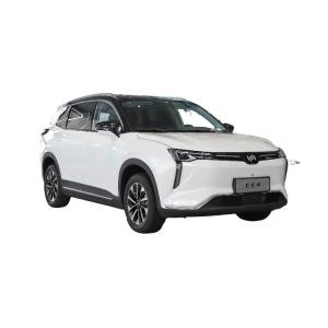 China Single Speed Transmission Full Electric SUVs Weima W6 Medium SUV factory