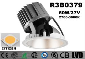 China High Power 60W Dimmable COB Downlights Round Cut Hole 216mm White Warm Aluminum factory