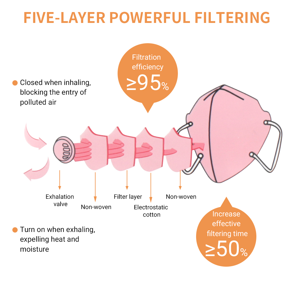 Lint Free Earloop Disposable N95 Mask , 5 Ply Anti Virus Isolation Face Masks