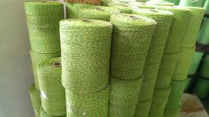 China Braided Polyethylene Twine on sale